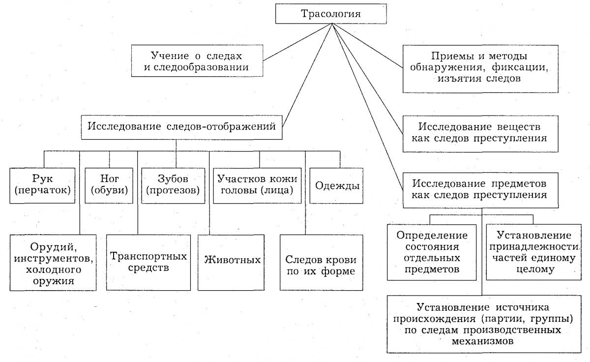 В систему криминалистической фотографии входит фотография