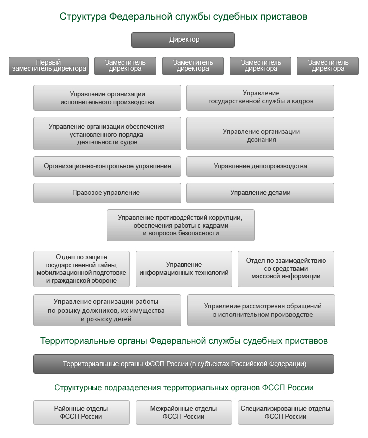 Структура фссп рф схема